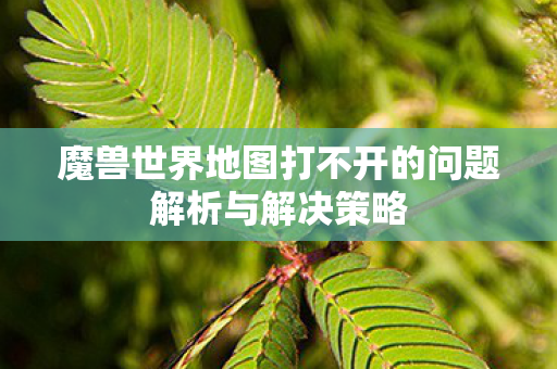魔兽世界地图打不开的问题解析与解决策略图片