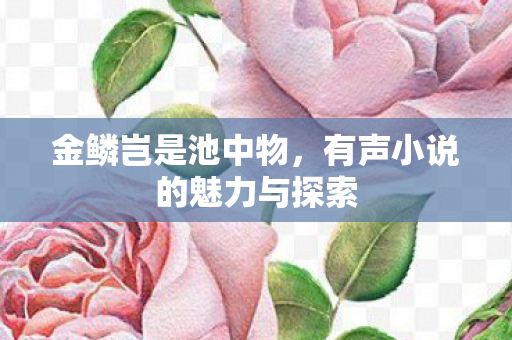有声小说的魅力与探索图片