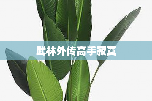 武林外传高手寂寞图片