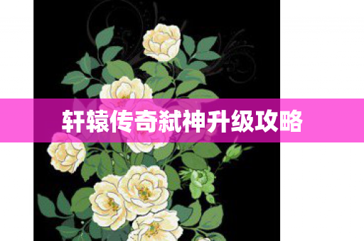 轩辕传奇弑神升级攻略图片