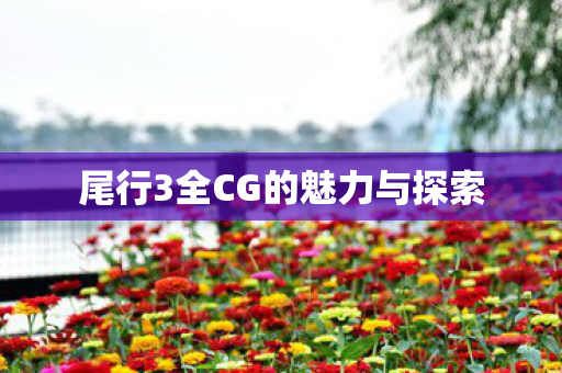 尾行3全CG的魅力与探索图片