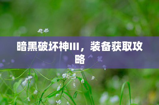 暗黑破坏神III图片