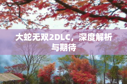 大蛇无双2DLC图片