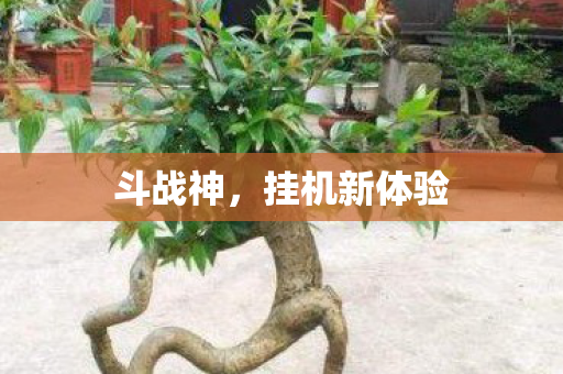 挂机新体验图片