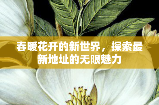 探索最新地址的无限魅力图片