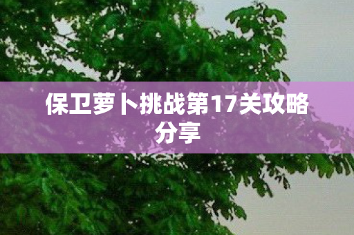 保卫萝卜挑战第17关攻略分享图片