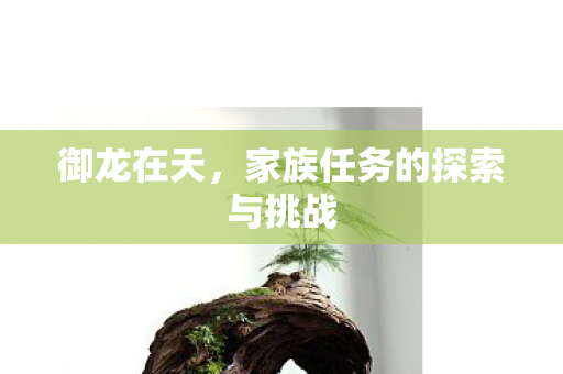 家族任务的探索与挑战图片
