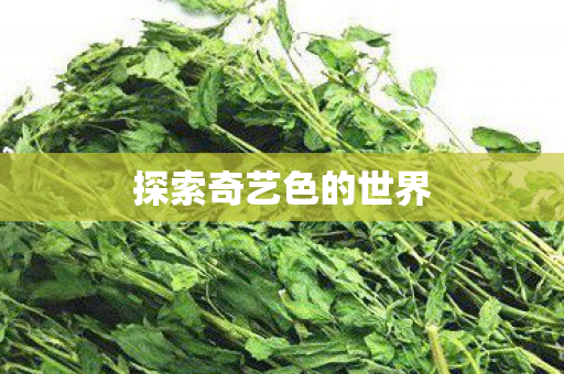 探索奇艺色的世界图片