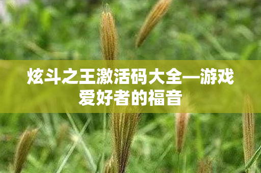 炫斗之王激活码大全图片