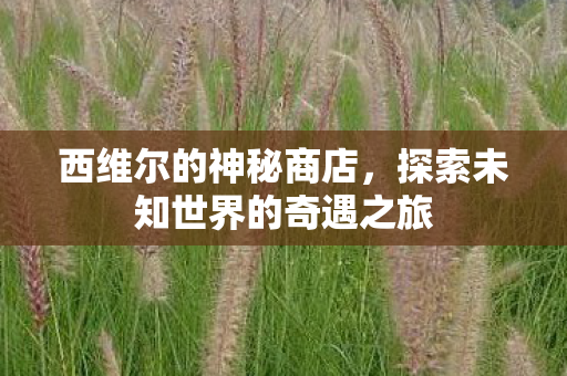 探索未知世界的奇遇之旅图片