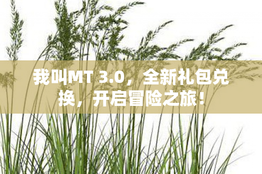 我叫MT 3图片