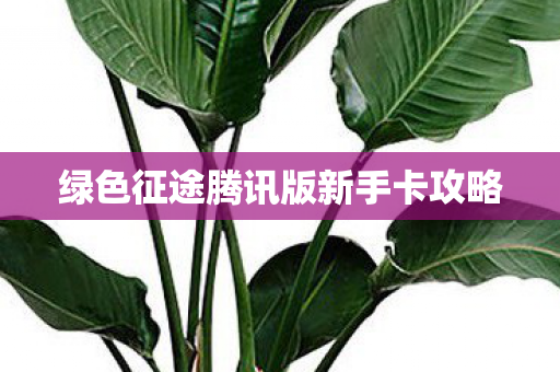绿色征途腾讯版新手卡攻略图片