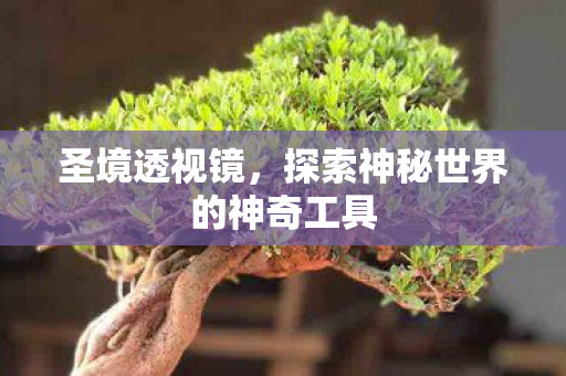 探索神秘世界的神奇工具图片