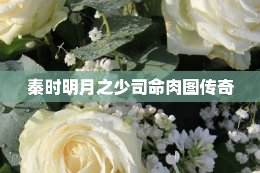 秦时明月之少司命肉图传奇图片