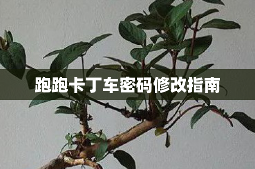 跑跑卡丁车密码修改指南图片