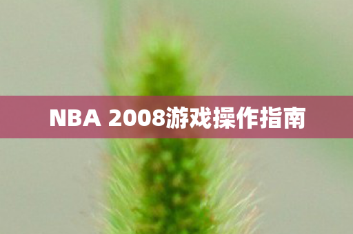 NBA 2008游戏操作指南图片
