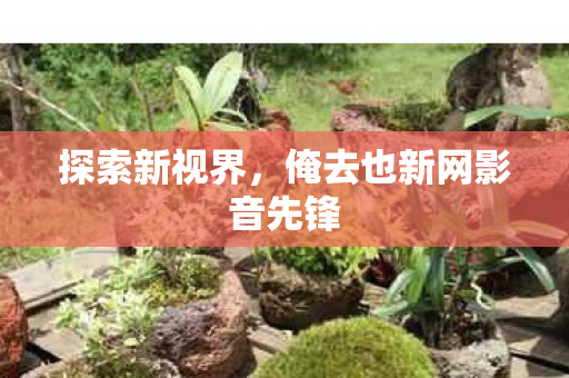 俺去也新网影音先锋图片