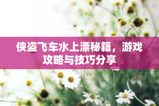 侠盗飞车水上漂秘籍图片