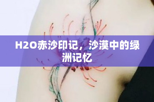 沙漠中的绿洲记忆图片