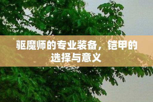 驱魔师的专业装备图片