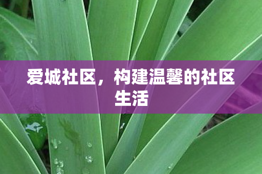 构建温馨的社区生活图片