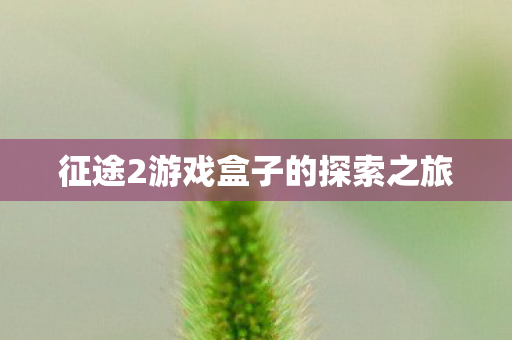 征途2游戏盒子的探索之旅图片