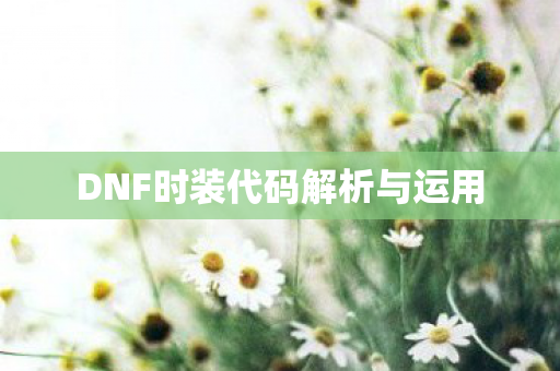 DNF时装代码解析与运用图片