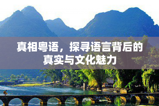 探寻语言背后的真实与文化魅力图片
