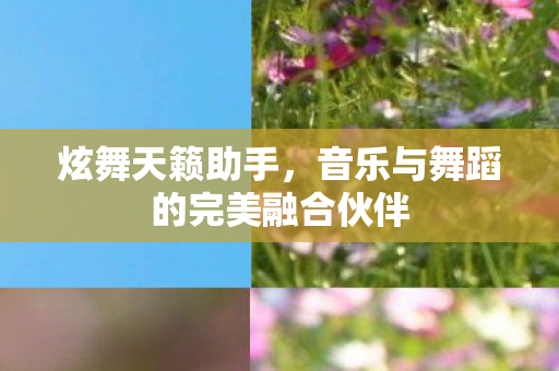 音乐与舞蹈的完美融合伙伴图片