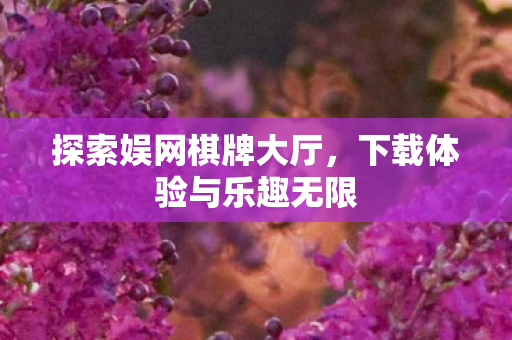下载体验与乐趣无限图片