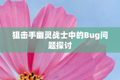 狙击手幽灵战士中的Bug问题探讨图片