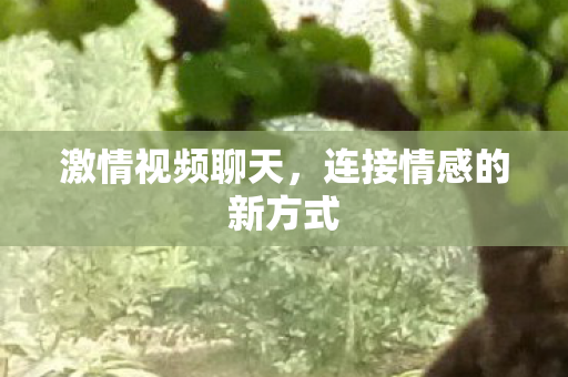 连接情感的新方式图片