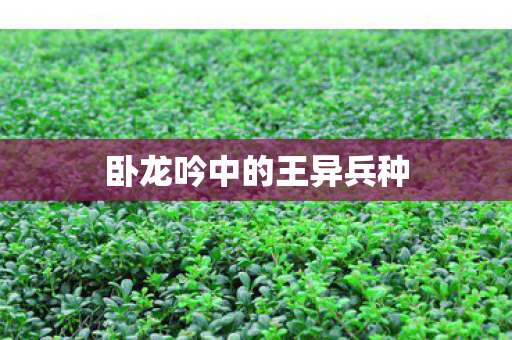 卧龙吟中的王异兵种图片