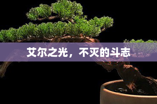 不灭的斗志图片