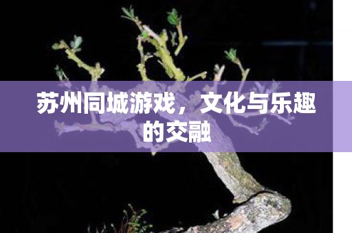 文化与乐趣的交融图片