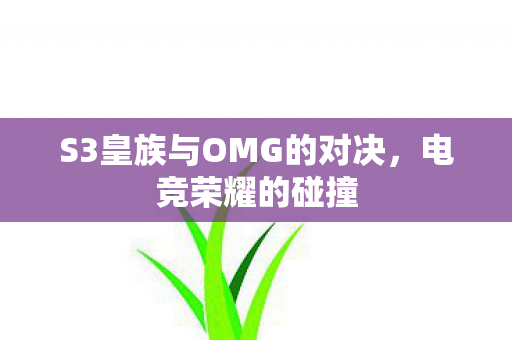 S3皇族与OMG的对决图片