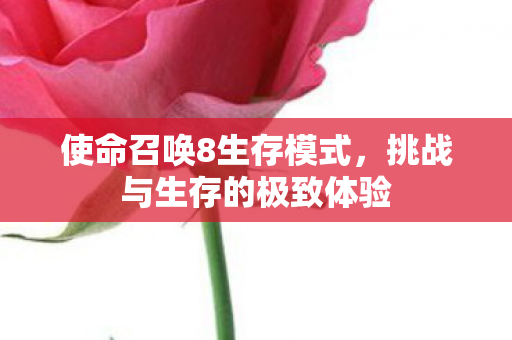 挑战与生存的极致体验图片