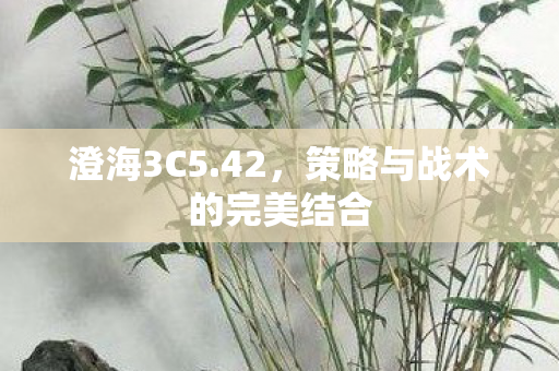策略与战术的完美结合图片