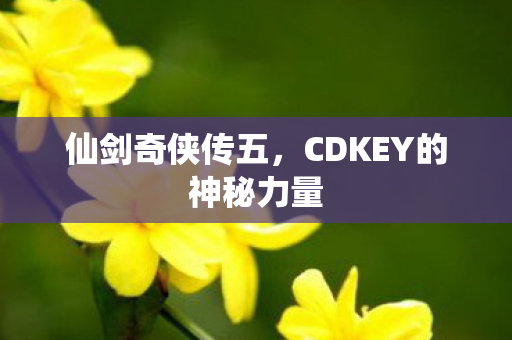 CDKEY的神秘力量图片