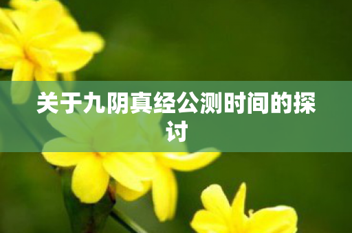 关于九阴真经公测时间的探讨图片