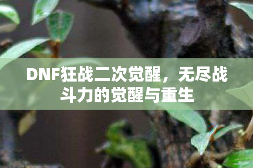 无尽战斗力的觉醒与重生图片