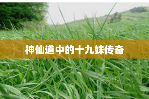 神仙道中的十九妹传奇图片
