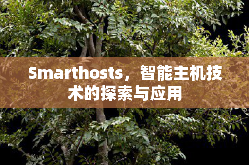 智能主机技术的探索与应用图片