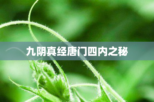 九阴真经唐门四内之秘图片