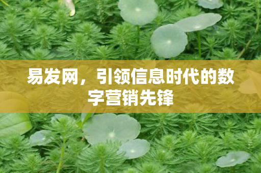 引领信息时代的数字营销先锋图片