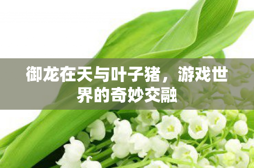 游戏世界的奇妙交融图片