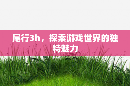 探索游戏世界的独特魅力图片
