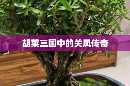 胡莱三国中的关凤传奇图片