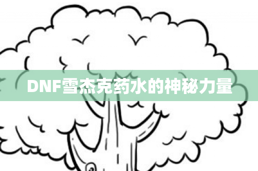 DNF雪杰克药水的神秘力量图片