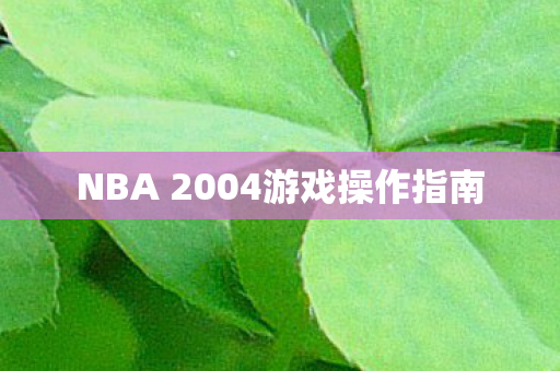 NBA 2004游戏操作指南图片
